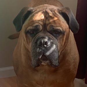 Meet your Posher, Christine